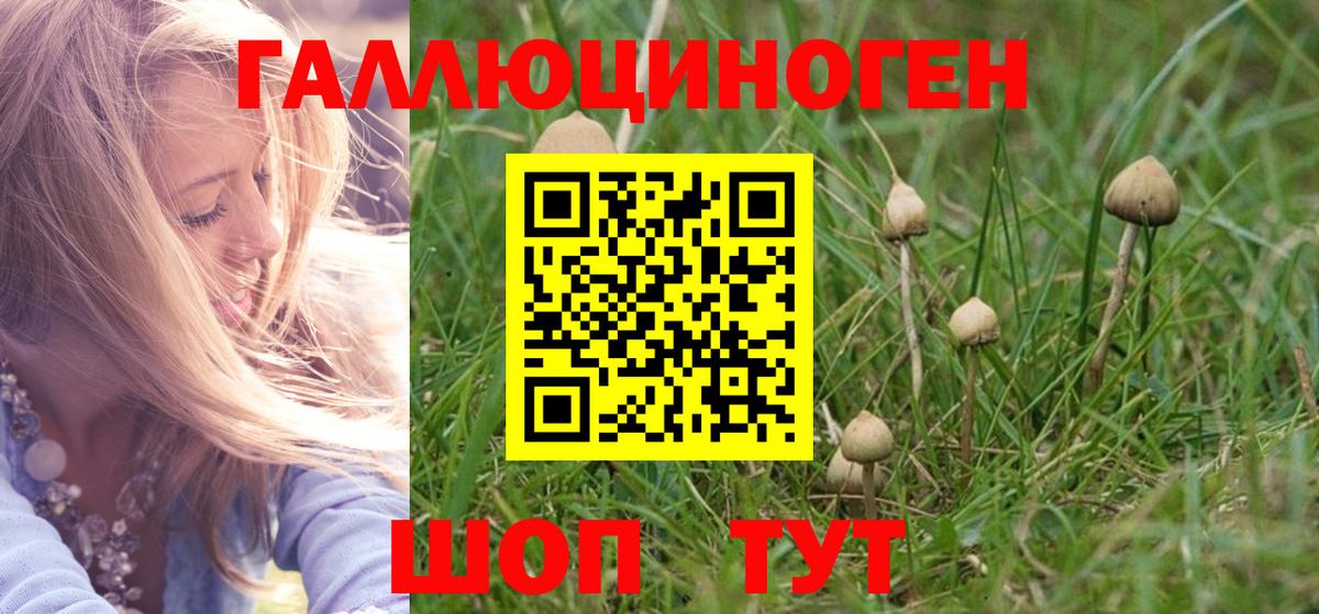 Галлюциногенные грибы ЛСД Каспийск